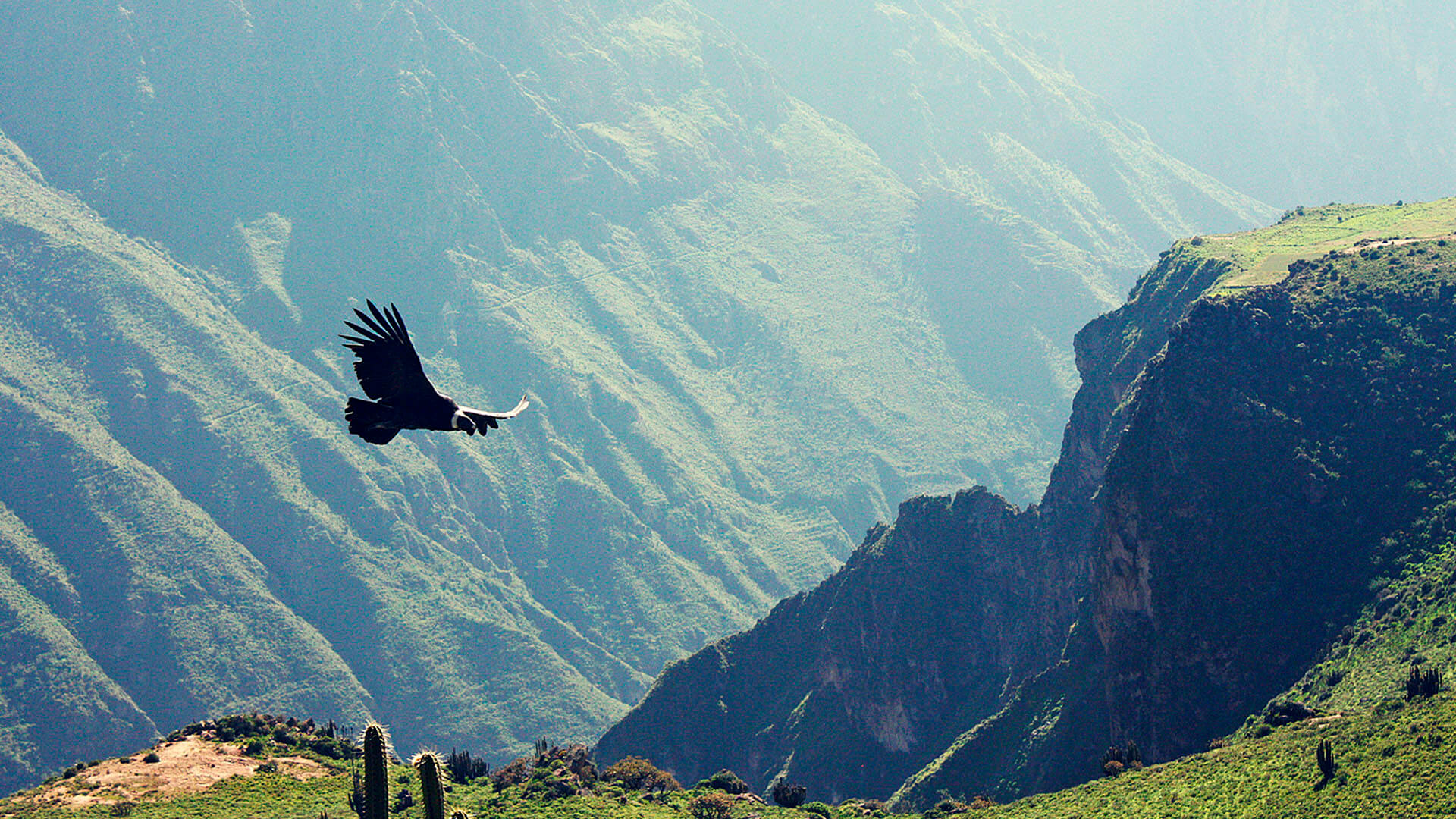 TOUR PUNO – CAÑON DEL COLCA – AREQUIPA 2D/1N
