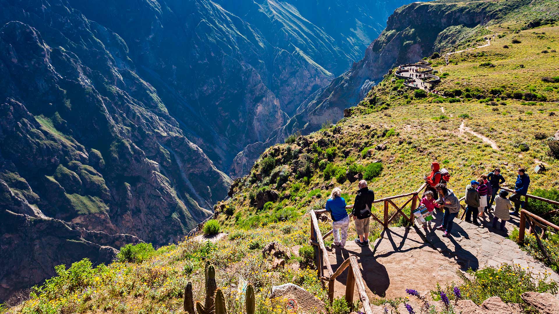 TOUR PUNO – CAÑON DEL COLCA – AREQUIPA 2D/1N